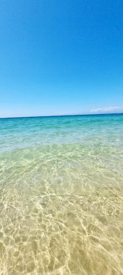 Comporta Beach House Екстериор снимка